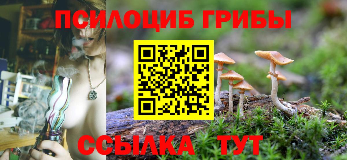 Галлюциногенные грибы GOLDEN TEACHER Бийск