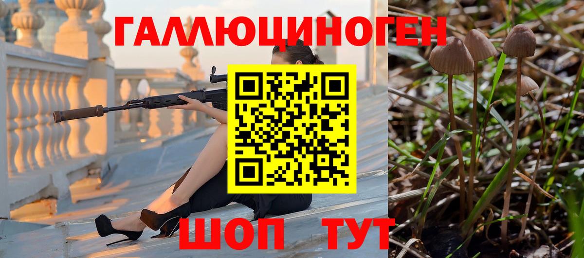 Бийск  Псилоцибиновые грибы Psilocybe  Вход с VPN 