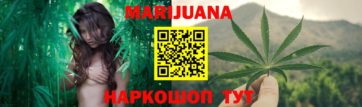 Канабис план Бийск
